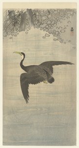 Cormorano in volo da Ohara Koson