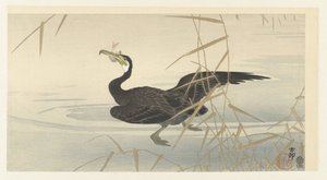 Cormorano con pesce da Ohara Koson