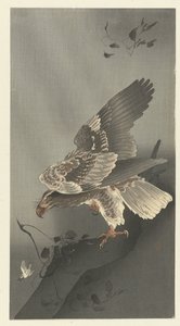 Aquila che osserva la preda da Ohara Koson