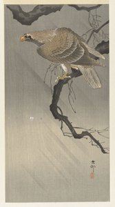 Aquila su ramo da Ohara Koson