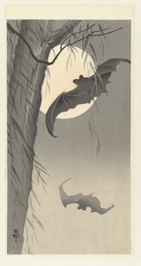 Pipistrelli e luna piena da Ohara Koson