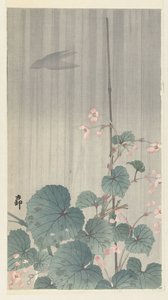 Begonia sotto la pioggia da Ohara Koson