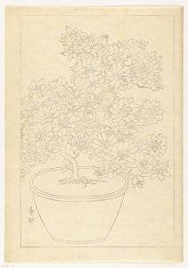 Azalea in fiore in vaso da Ohara Koson