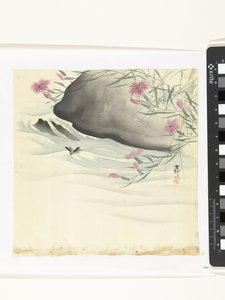 Fiori sulla riva da Ohara Koson