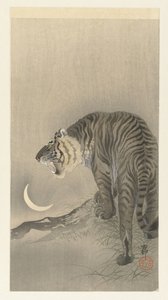 Tigre ruggente