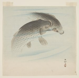 Carpa da Ohara Koson