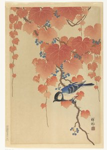 Cincia bigia su ramo di paulonia da Ohara Koson