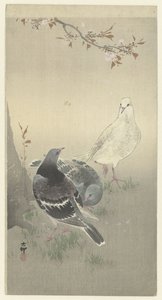 Tre colombe domestiche da Ohara Koson