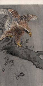 Aquila con ali spiegate su tronco d