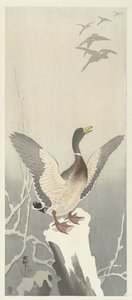 Anatra su un ceppo innevato da Ohara Koson