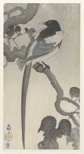 Gazza su un ramo da Ohara Koson