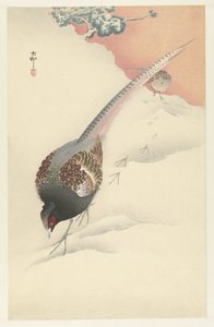 Coppia di fagiani nella neve da Ohara Koson