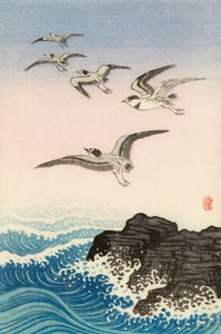 Cinque gabbiani sopra una roccia nel mare, XX secolo da Ohara Koson