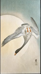 Volo di anatre al chiaro di luna (xilografia e stampa giapponese di Ohara Koson) da Ohara Koson