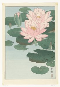 Ninfea in fiore da Ohara Koson