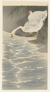 Oche sulla riva da Ohara Koson