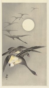 Oche alla luna piena
