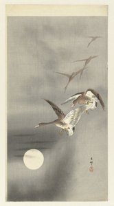 Oche in volo