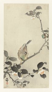 Gorrión su un ramo fiorito da Ohara Koson