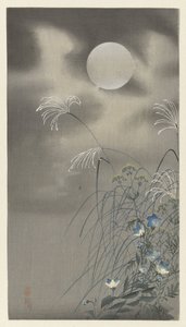 Erbe e fiori alla luna piena da Ohara Koson