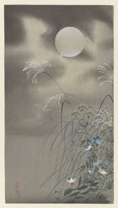Erbe e fiori sotto la luna piena da Ohara Koson