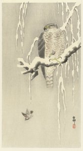 Falco con passero catturato da Ohara Koson