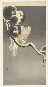 Falco con passero da Ohara Koson