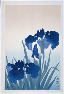 Iris da Ohara Koson