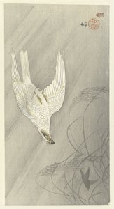 Falco cacciatore da Ohara Koson
