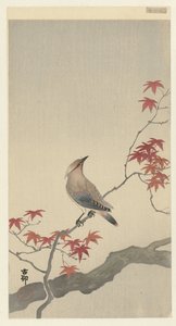 Uccello giapponese su acero da Ohara Koson