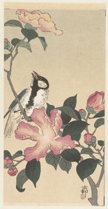 Cinciallegra su ramo con fiori rosa da Ohara Koson