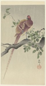 Fagiano di rame da Ohara Koson