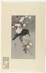 Corvo e fiori di ciliegio da Ohara Koson