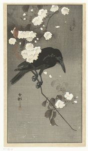 Corvo con fiori di ciliegio da Ohara Koson