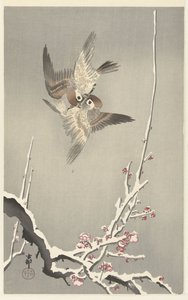 Passeri e prugno innevato da Ohara Koson