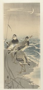 Piro-piro con luna crescente da Ohara Koson