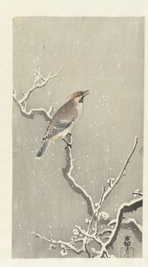 Beccofrusone su un ramo innevato da Ohara Koson