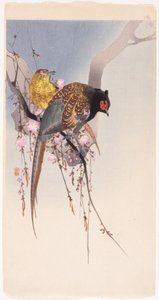 Fagiani e ciliegio pendente da Ohara Koson