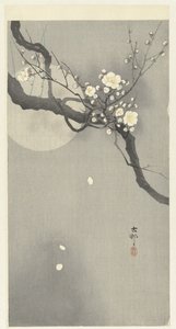 Fiori di prugna e luna piena