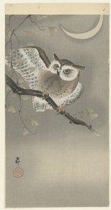 Gufo in ginkgo