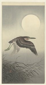 Airone alla luna piena