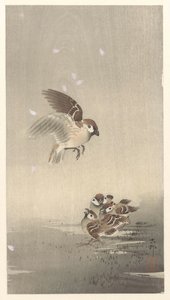 Passero con i piccoli da Ohara Koson