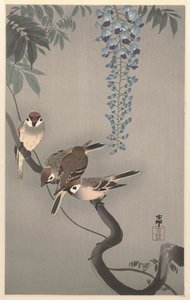 Passeri ad anello presso glicine da Ohara Koson