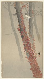 Edera rossa da Ohara Koson