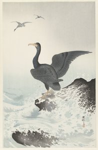 Cormorano mascherato rosso su roccia da Ohara Koson