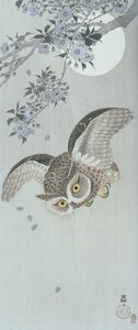 Gufo in volo con fiori e luna piena (stampa a blocchi di legno a colori) da Ohara Koson