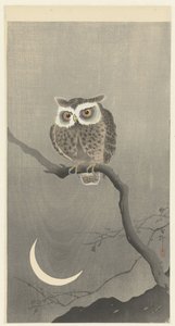 Gufo su un ramo con luna crescente da Ohara Koson