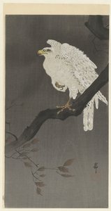 Aquila della neve su un ramo da Ohara Koson