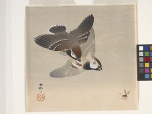 Passeri che inseguono un insetto volante da Ohara Koson