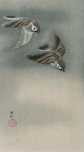 Passeri in volo